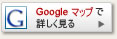 googleMAP